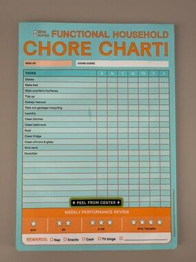 Knock Knock Teal and Orange Chore Chart